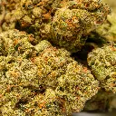 Top Jar - THCA Flower - 4oz - Blueberry Skittlez - Small Group #4.webp