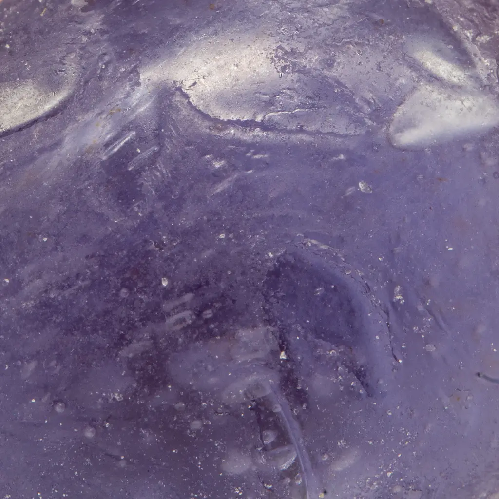 Canny Land - 10 Ct - 150mg - Macro #4 (1).webp