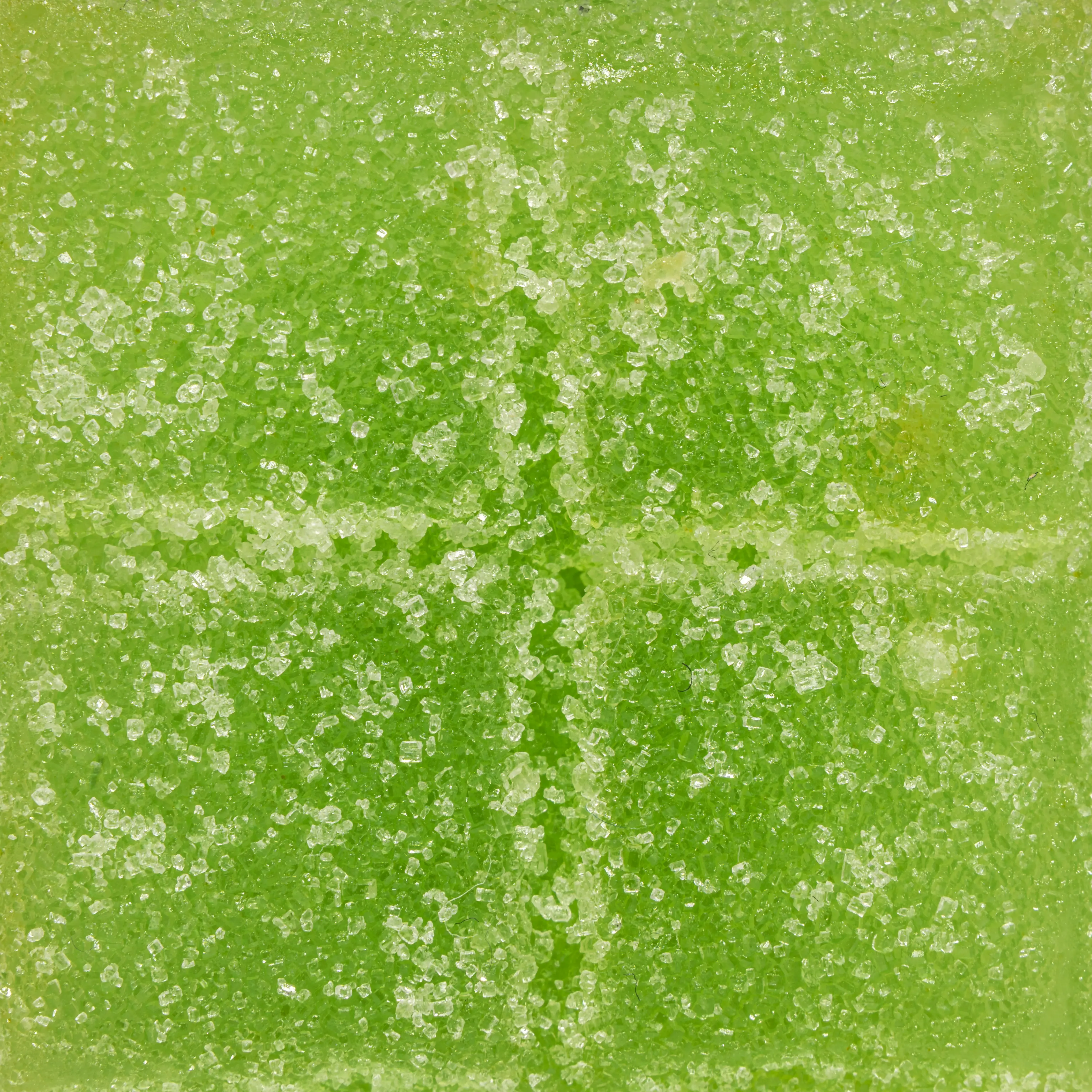 Stax - Gummies - 250mg - Watermelon OG - Macro #3.webp