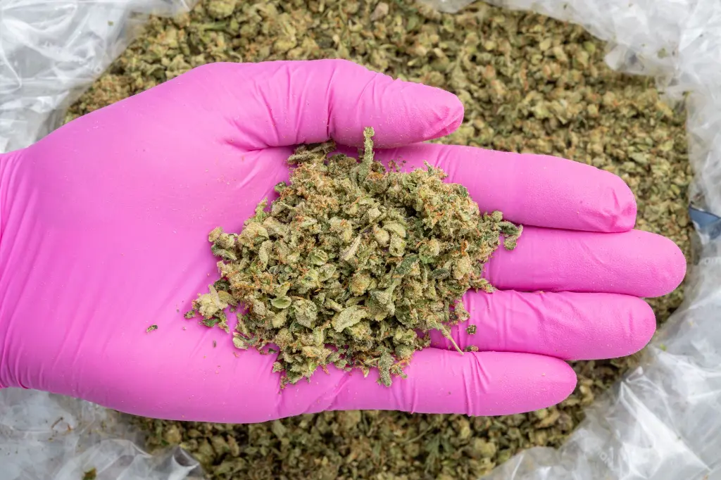 White Truffle A-Trim -PINK- 122225.webp