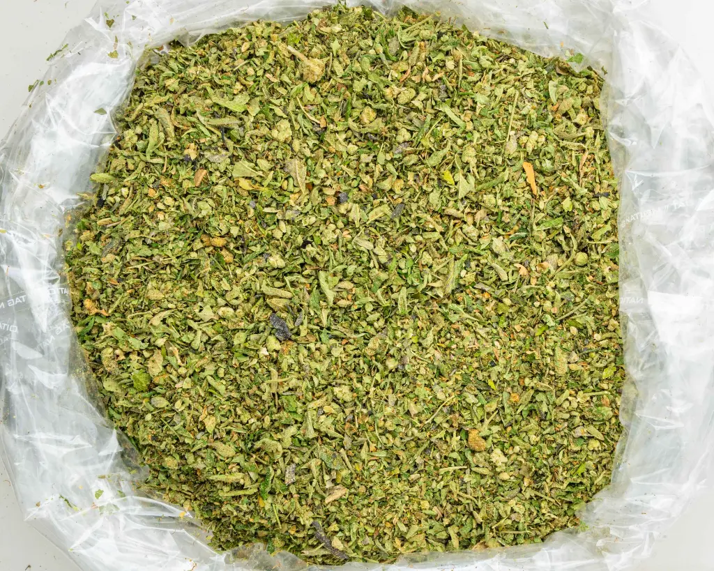 Gelato -BAG- 102925.webp