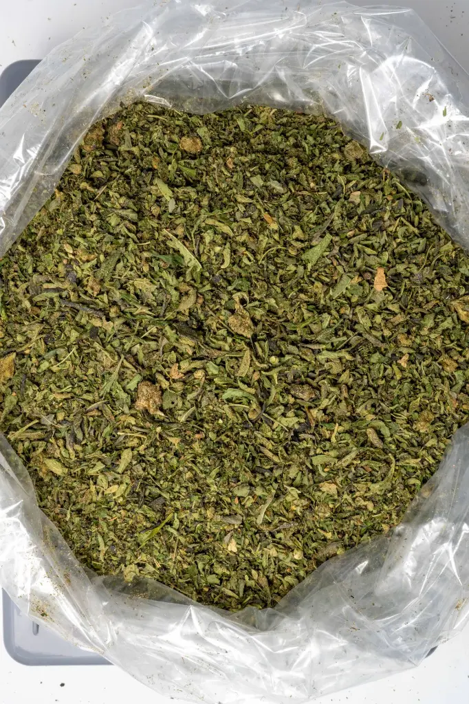 GAS MINTS 1-20-26- BAG (1).webp