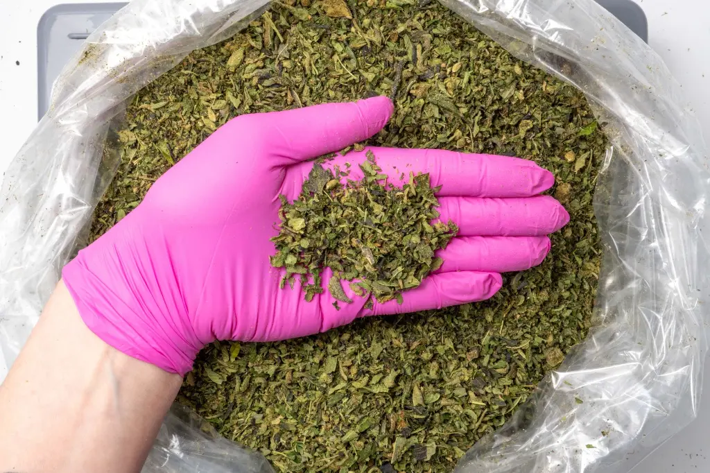 GAS MINTS 1-20-26- PINK (1).webp