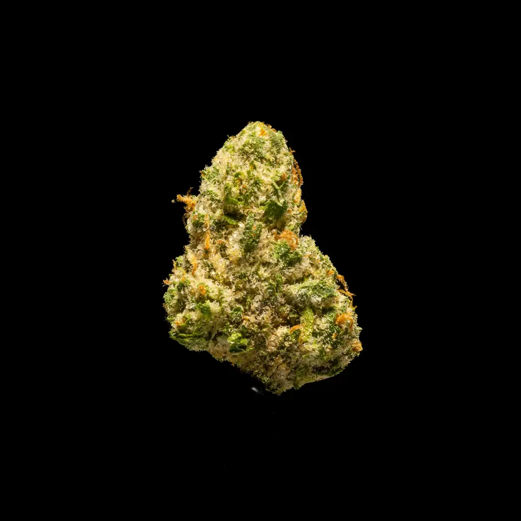 Gelato Float Smalls -BLACK- 012126.webp