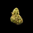 Gelato Float Smalls -BLACK- 012126.webp