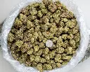 Apple Sherbet -BAG- 012126.webp