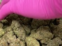 vimeo - Apple Sherbet