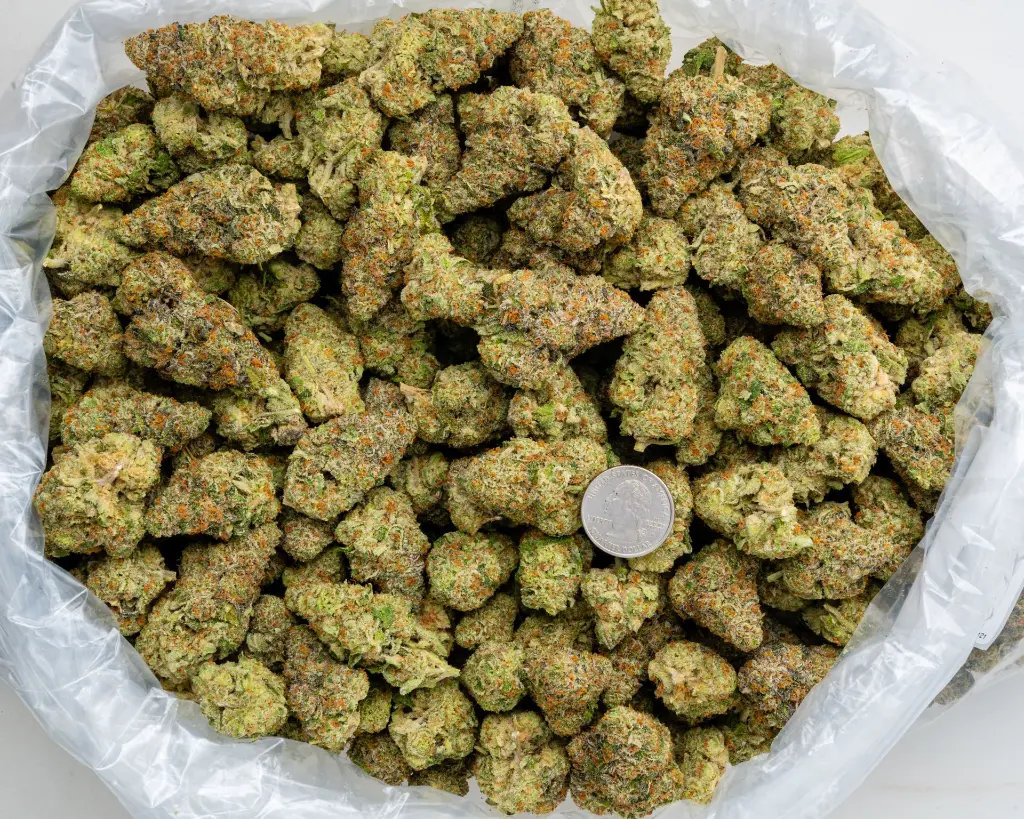 White Lemon -BAG- 012126.webp