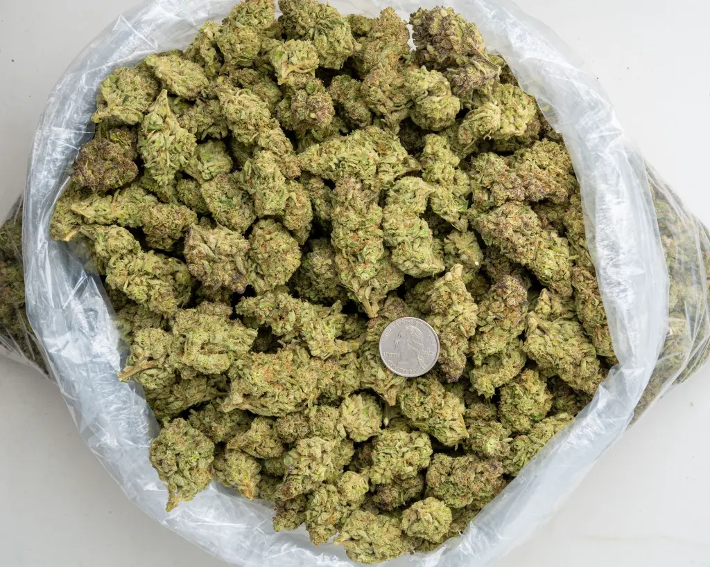 Gooshmint -BAG- 012126.webp