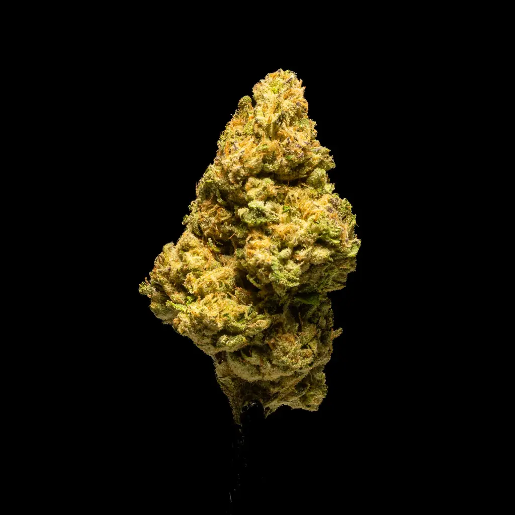 Gooshmint -BLACK- 012126.webp