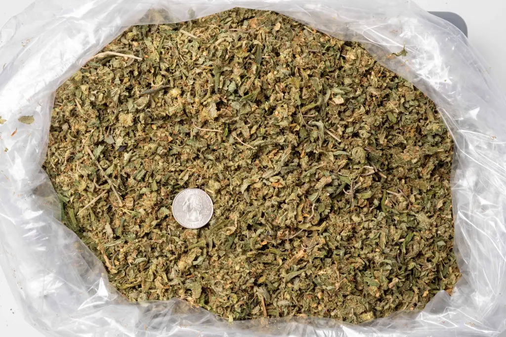 HeadhunterPreroll Mix B 11-19-25 BAG.webp