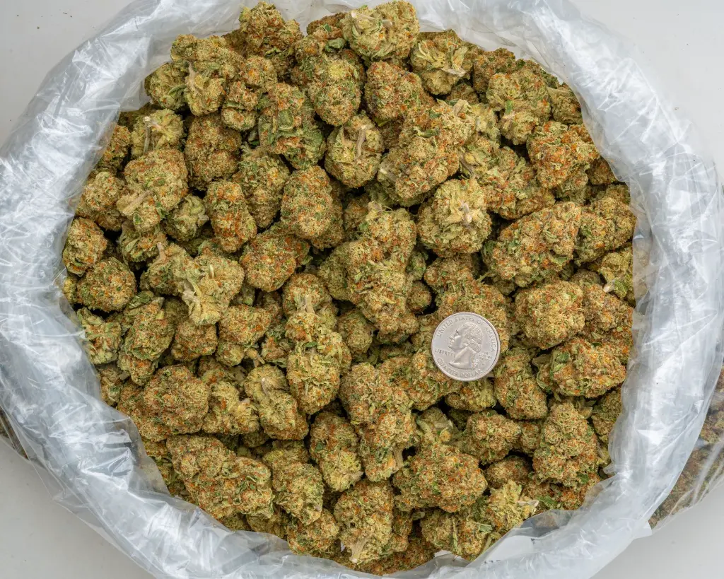 Lemonati -BAG- 013026.webp