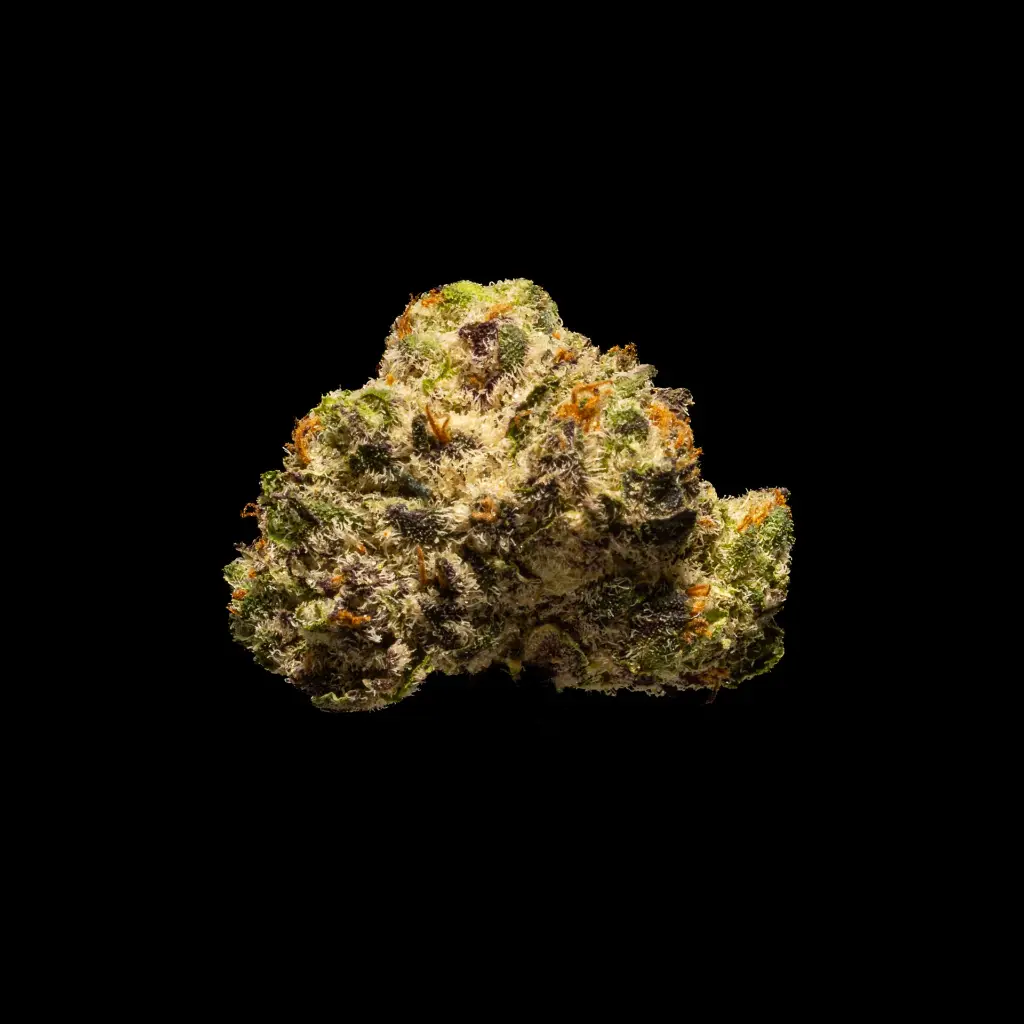 White Truffle Smalls -BLACK- 012126.webp