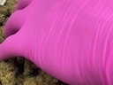 vimeo - Lemonatti