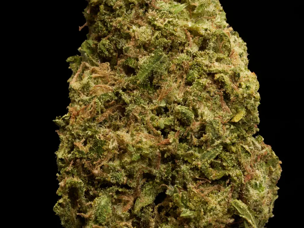 Lemon Zonkers - MACRO.webp