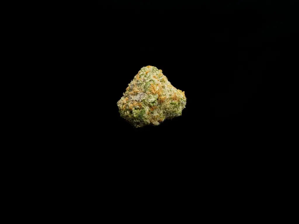 Cheetah Piss Smalls - SINGLE (1).webp