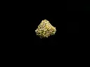 Cheetah Piss Smalls - SINGLE (1).webp