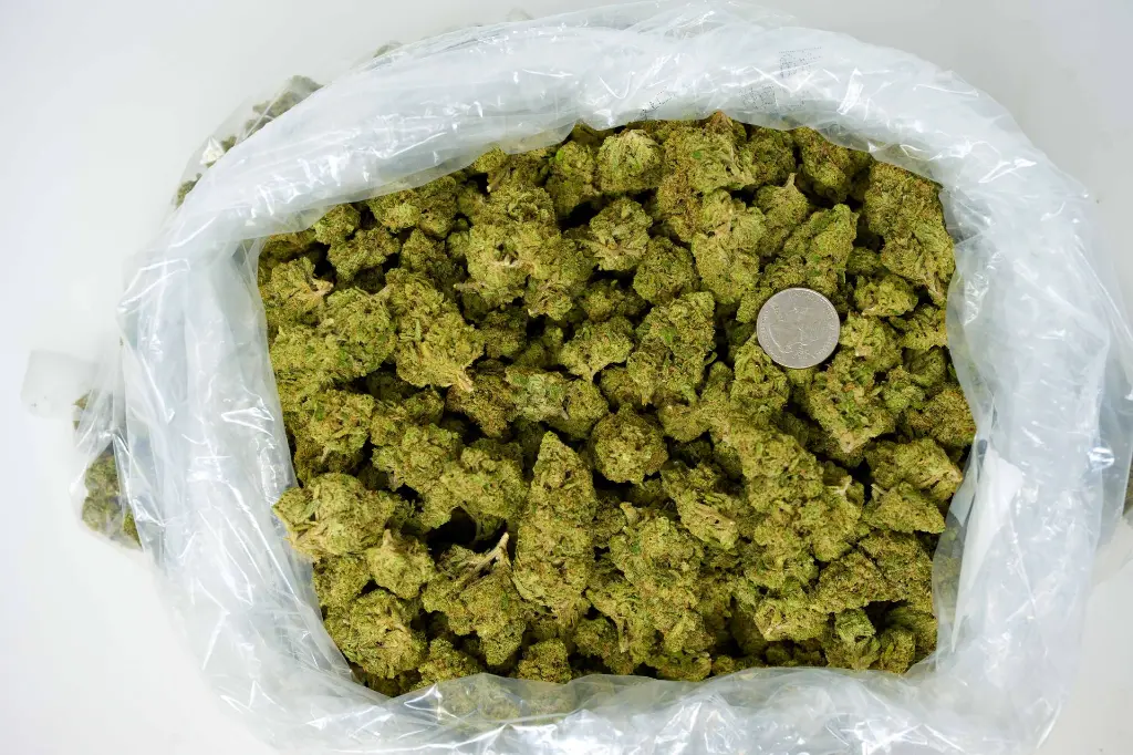 Lemon Zonkers - BAG.webp