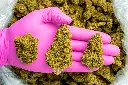 Funky Charms -PINK- 120925.webp