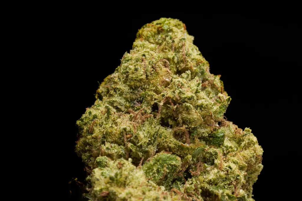 Hell_s Angel OG - MACRO (1).webp