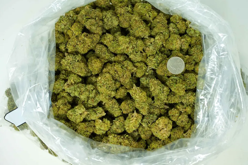 ICC - BAG (1).webp