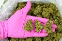 ICC - PINK (1).webp