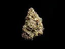Black Velvet - SINGLE (1).webp