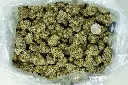 Black Velvet - BAG (1).webp
