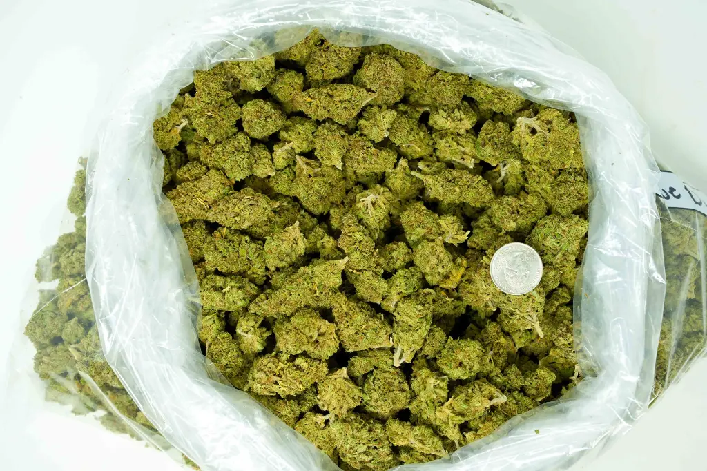 Blue Dream - BAG (1).webp