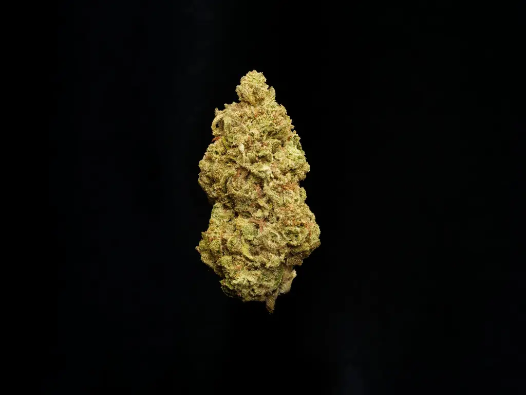 Blue Dream (1).webp