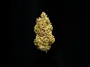 Blue Dream (1).webp