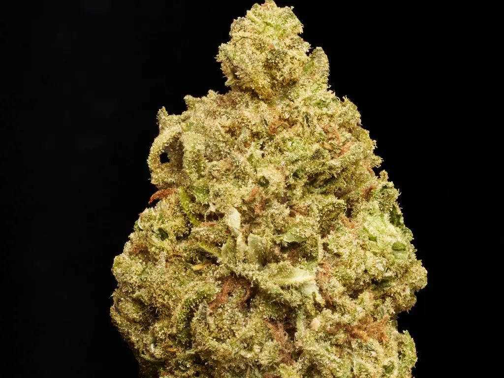 Blue Dream 1 (1).webp