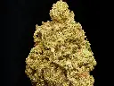 Blue Dream 1 (1).webp