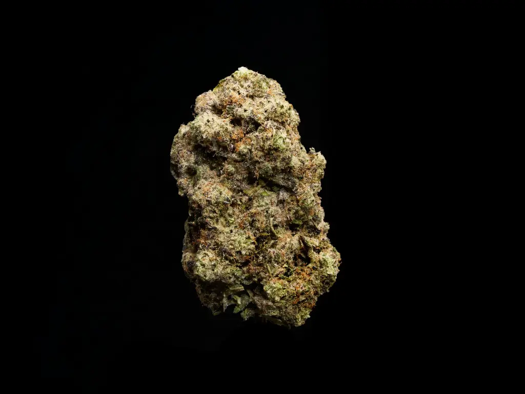 Gorilla Butter.webp