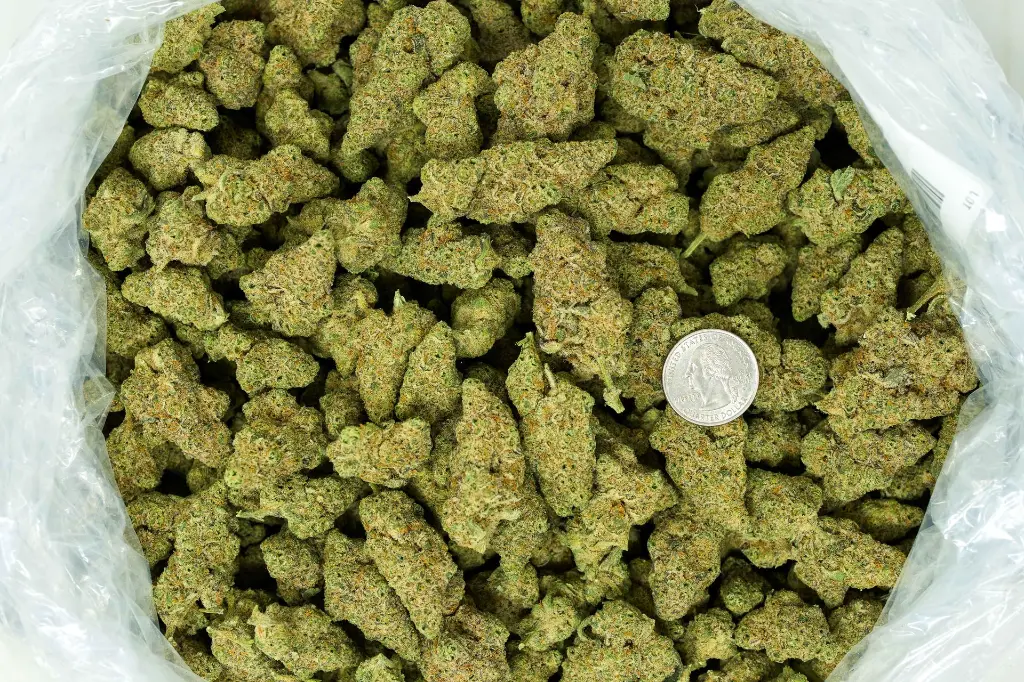 Agent Orange - BAG (2).webp