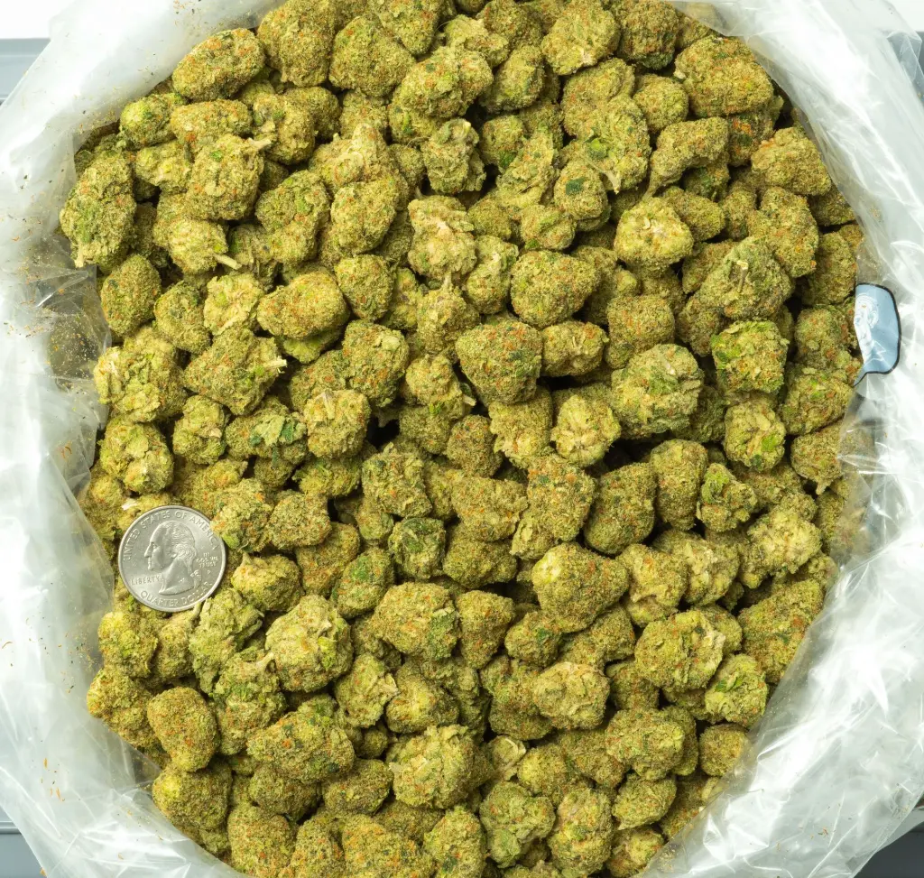 WhiteLemonMediums_3-17-26 BAG (1).webp