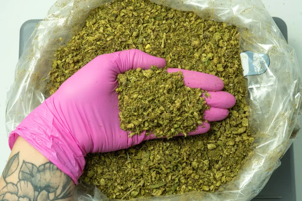 AmarettiLimonRuntz_3-26 PINK.webp