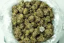 Violet Meadows Indoor 3-26 BAG.webp