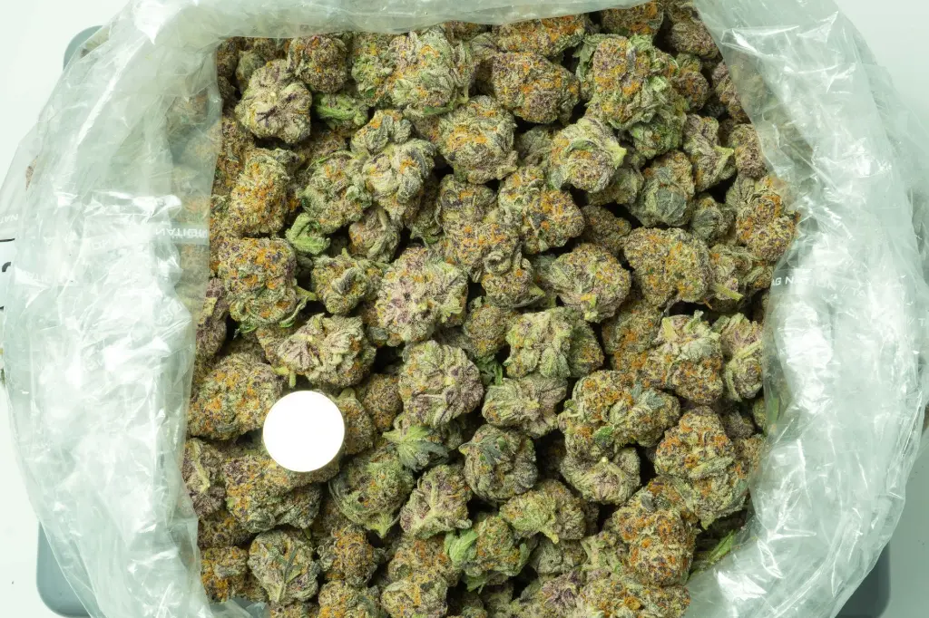 White Rhino_3-26 BAG.webp
