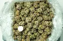White Rhino_3-26 BAG.webp