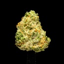 Apple Sherbet Indoor Smalls -FLOAT- 251125.jpg