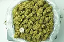 Jack Herer_4-1-26 BAG.webp