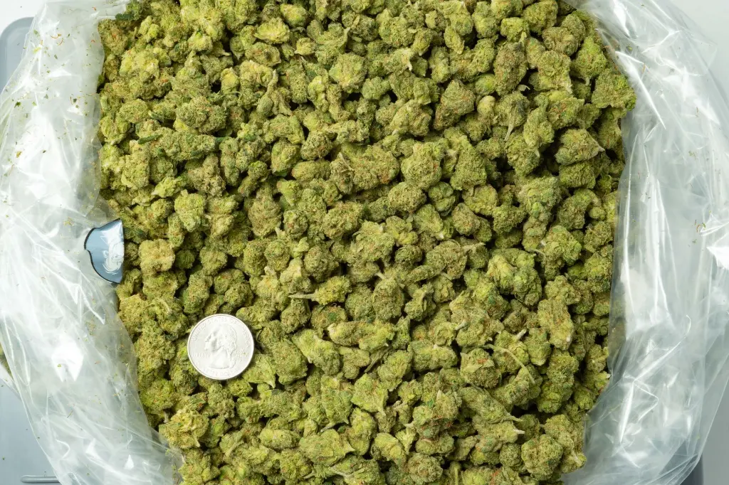 Cali-O Smalls 4-2-6 BAG.webp