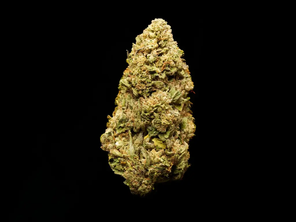 Pure Michigan 4-3-26 BUD2.webp