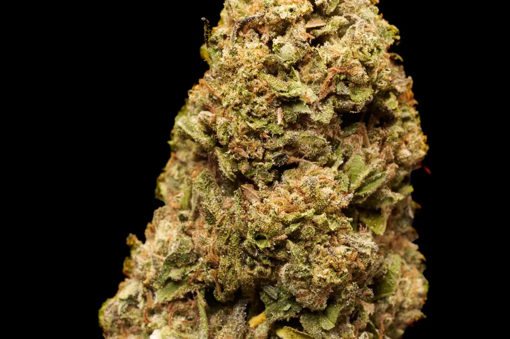 Pure Michigan 4-3-26 BUD.webp