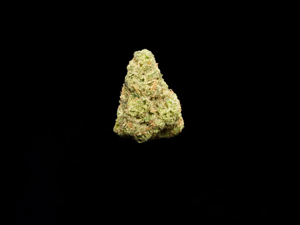 Cali-O-Mediums 4-3-26 BUD (1).webp