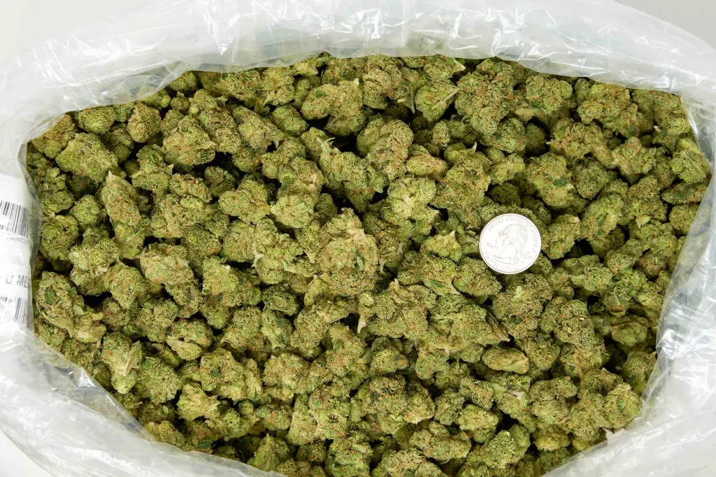 Cali-O Mediums 4-3-26 BAG.webp