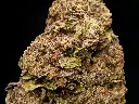 Gelato 5 (1).webp