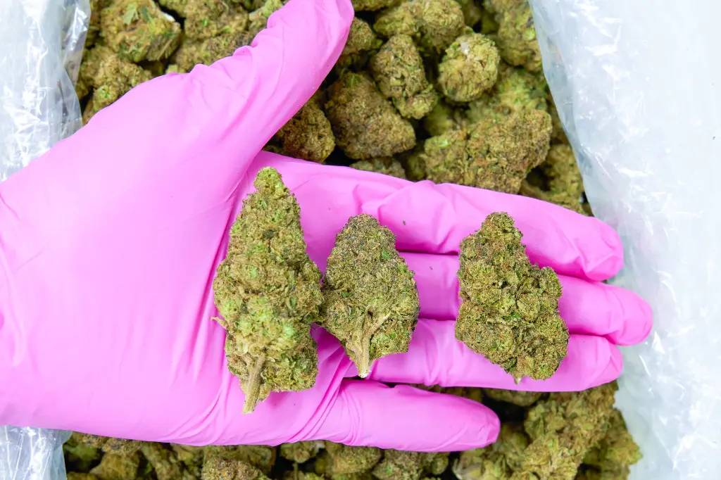 Muel Fuel 4-3-26 PINK.webp