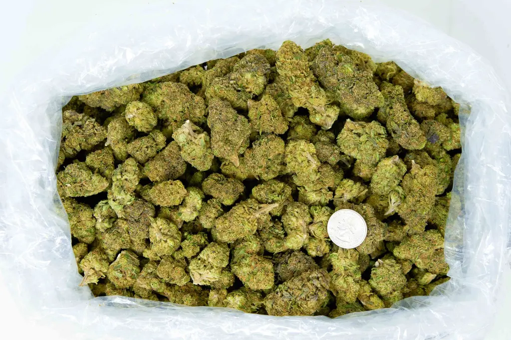 Muel Fuel 4-3-26 BAG (1).webp